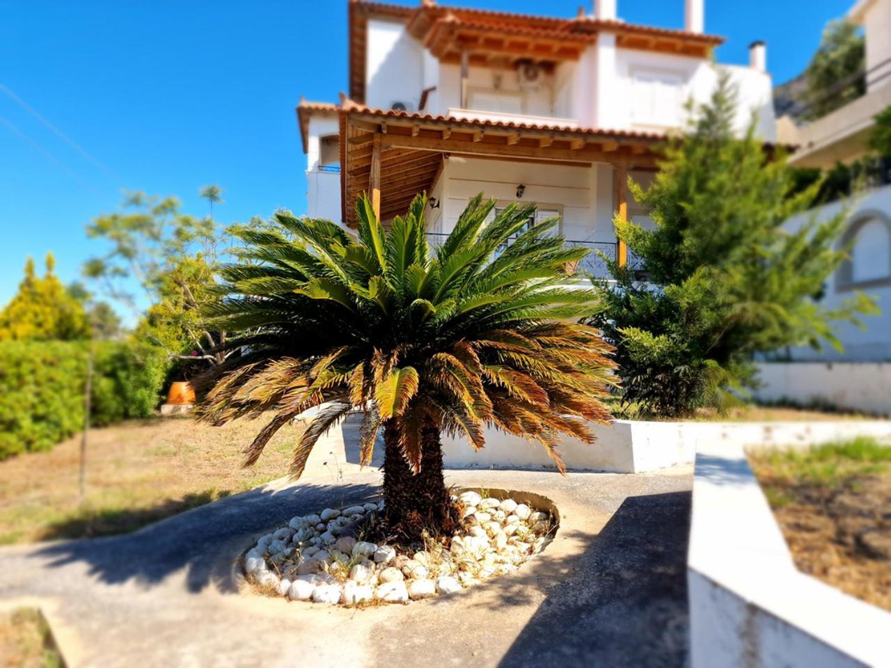 The Mirador Boutique Villa With Scenic Sea View Pórto Ráfti Екстериор снимка